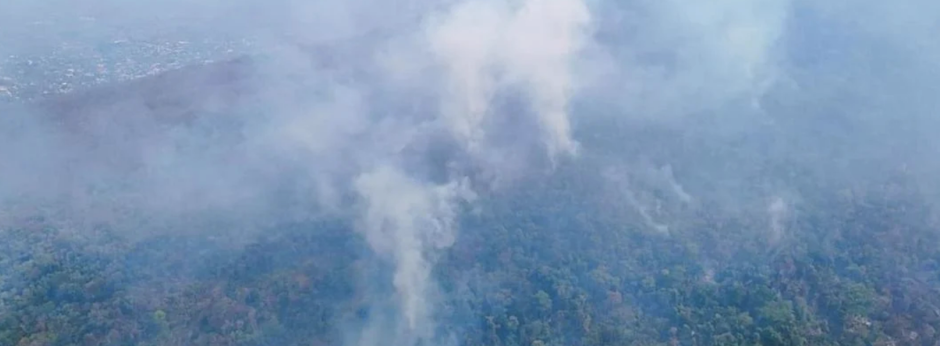 Fuego sigue sin control en Mitla y Díaz Ordaz; 24 incendios activos consumen bosques de Oaxaca